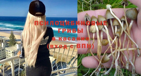 гидропоника Шали