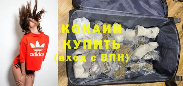 стафф Чекалин